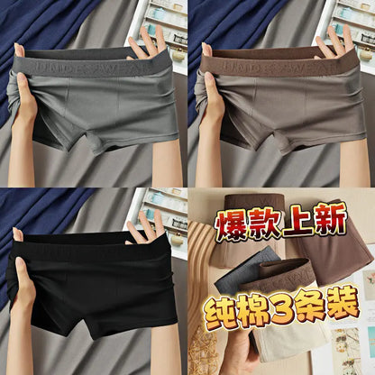 Maillard Cotton Men&