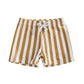 Citgeett Summer Kids Baby Boys Swim Trunks Stripes Print Elastic Waist Beach Shorts Shorts Clothes SHOPEZRA L.L.C.