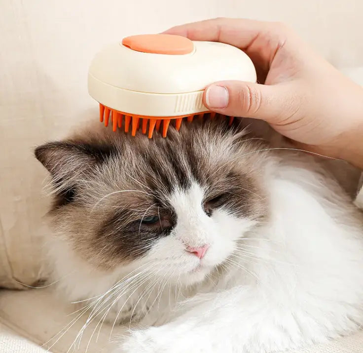 A person using a 3-in-1 cat dog grooming brush on a fluffy cat's head to detangle fur and reduce shedding.