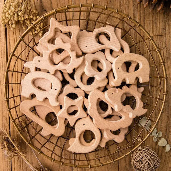 1pc Baby Teether Wooden Animal Pacifier Pendant BPA Free Beech Koala Rodent Teething Toys Kids Products Gifts SHOPEZRA L.L.C.