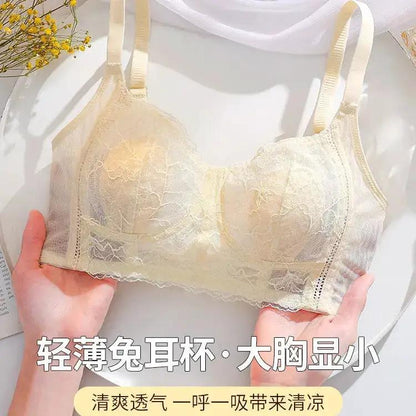 Breathable Wire-Free Intimates for Women with Large Breasts, Sexy Lace Side-Cinching Bra to Prevent Sagging, Breathable and Comfortable by Dropshipman