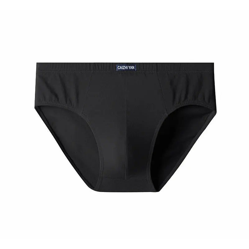 Black men's stretch cotton briefs by SHOPEZRA L.L.C., large size, high elasticity, mid-waist design for middle-aged and elderly men.
