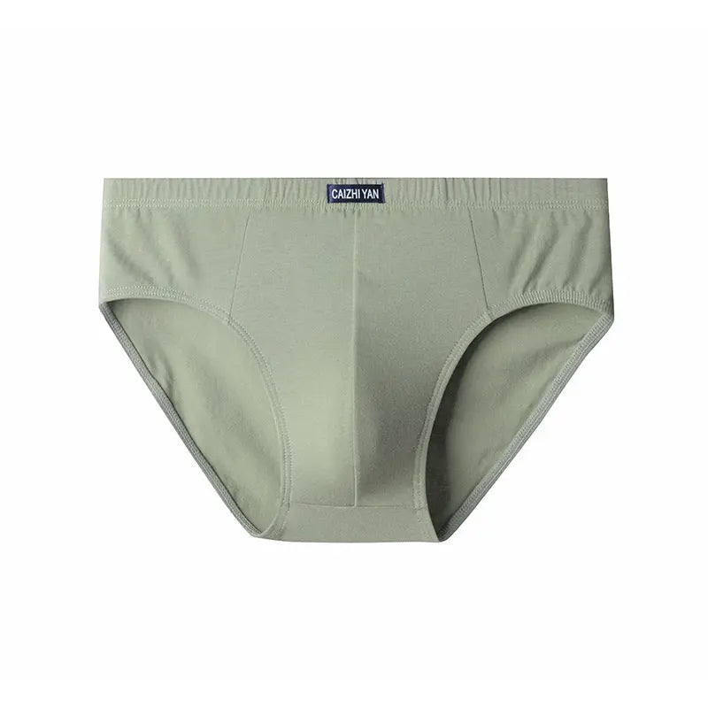 Black men's stretch cotton underwear briefs by SHOPEZRA L.L.C., high elastic, large size, mid-waist, comfortable for middle-aged and elderly men.