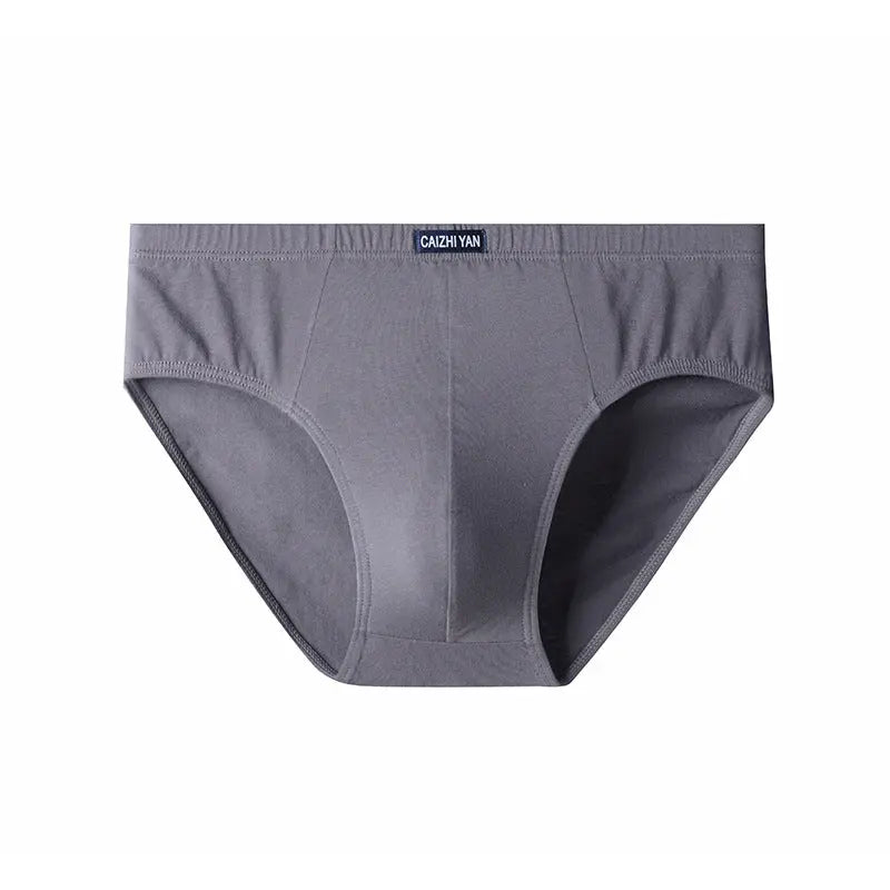 Black men's stretch cotton briefs by SHOPEZRA L.L.C., large size, high elasticity, mid-waist design for middle-aged and elderly men.