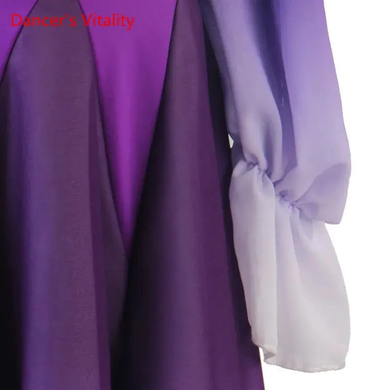 Modern Dance Dress Stand-Up Collar Mesh Sleeve Long Skirt Performance Clothing High-End Custom Child Woman Competition Clothes SHOPEZRA L.L.C.