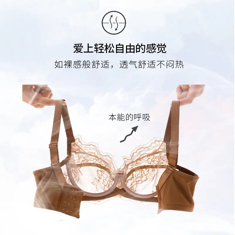 Inter-color sexy transparent underwear ladies with steel ring lace bra gathered comfortable underwear manufacturers wholesale explosions SHOPEZRA L.L.C.