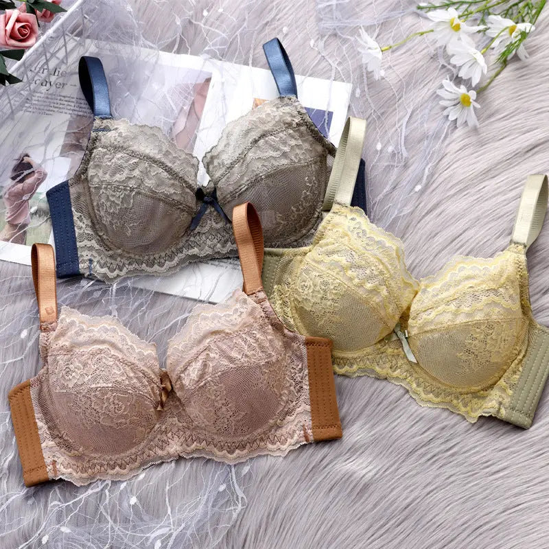 Inter-color sexy transparent underwear ladies with steel ring lace bra gathered comfortable underwear manufacturers wholesale explosions SHOPEZRA L.L.C.