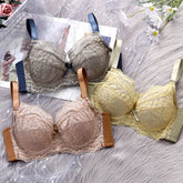 Inter-color sexy transparent underwear ladies with steel ring lace bra gathered comfortable underwear manufacturers wholesale explosions SHOPEZRA L.L.C.