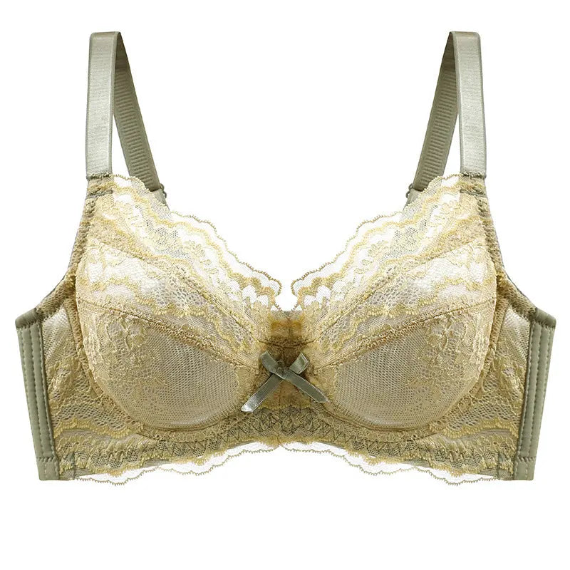 Inter-color sexy transparent underwear ladies with steel ring lace bra gathered comfortable underwear manufacturers wholesale explosions SHOPEZRA L.L.C.