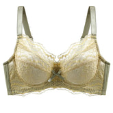 Inter-color sexy transparent underwear ladies with steel ring lace bra gathered comfortable underwear manufacturers wholesale explosions SHOPEZRA L.L.C.