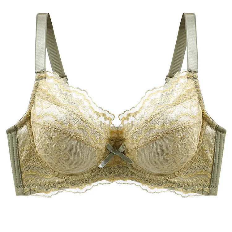 Inter-color sexy transparent underwear ladies with steel ring lace bra gathered comfortable underwear manufacturers wholesale explosions SHOPEZRA L.L.C.