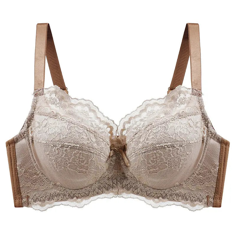 Inter-color sexy transparent underwear ladies with steel ring lace bra gathered comfortable underwear manufacturers wholesale explosions SHOPEZRA L.L.C.