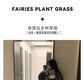 Winter Women&