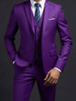 Suit (Blazer+ Vest + Trousers) Men&