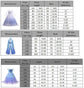 Girl Elsa Anna Dress Princess Costume Snow Queen Dress Baby Halloween Ariel Carnival Clothes Kids Cosplay Clothes Party Clothing SHOPEZRA L.L.C.