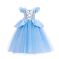 Girl Elsa Anna Dress Princess Costume Snow Queen Dress Baby Halloween Ariel Carnival Clothes Kids Cosplay Clothes Party Clothing SHOPEZRA L.L.C.