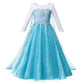 Girl Elsa Anna Dress Princess Costume Snow Queen Dress Baby Halloween Ariel Carnival Clothes Kids Cosplay Clothes Party Clothing SHOPEZRA L.L.C.