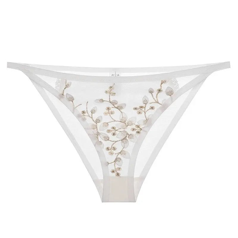Gray-blue women's sexy underwear by SHOPEZRA L.L.C., with embroidered lace, cotton crotch, low waist, and hip brief style.