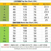 Summer Men Sports Polo Suit Short Sleeve Stylish Zipper Polo Shirt And Shorts Set Men Casual Streetwear 2-pie Leisure Sports Set SHOPEZRA L.L.C.