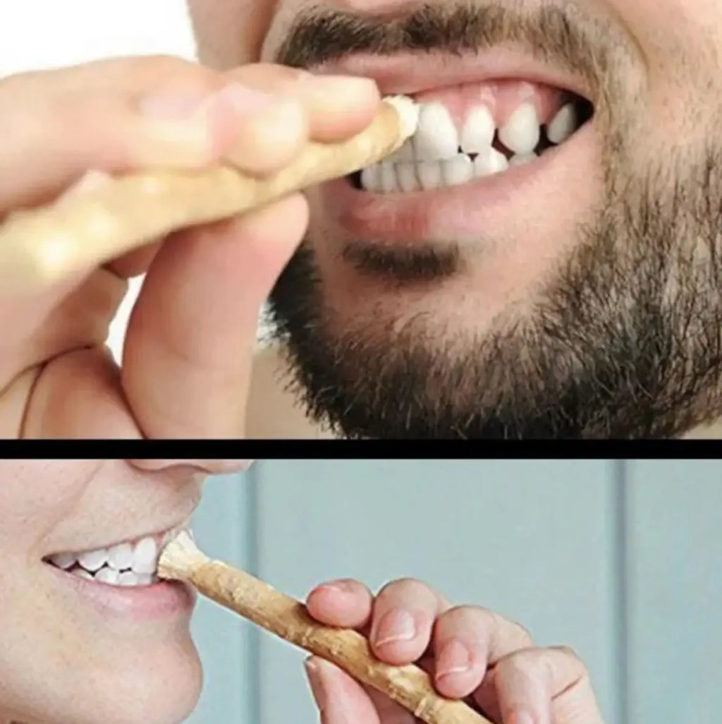 Natural miswak tooth cleaning stick used for brushing teeth by two individuals.