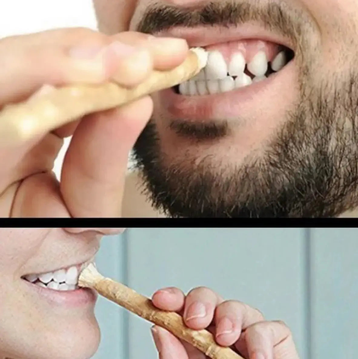 Natural miswak tooth cleaning stick used for brushing teeth by two individuals.