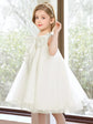 Big Bow Girl Dress Cute Girl Birthday Party Dress Wedding Flower Girl Dress Washing Dress Holy Communion Dress SHOPEZRA L.L.C.