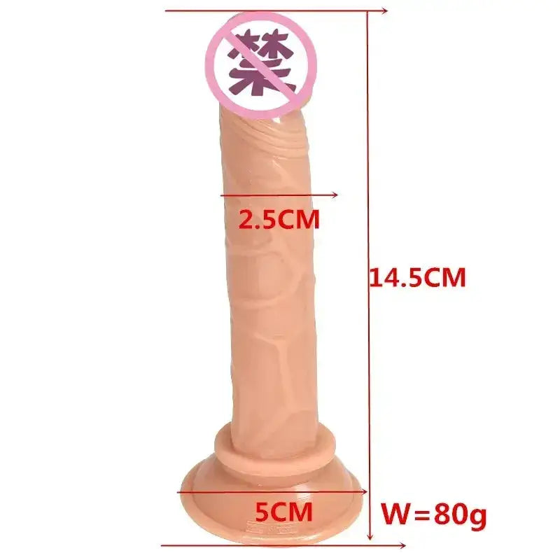 Realistic Anal Dildo with Suction Cup Small Jelly Dildos Sex Toys for Woman Men Dick Penis Butt Plug Erotic Sex Shop Adult Toys by Dropshipman