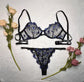 Europa und die Vereinigten Staaten grenzüberschreitende hochwertige sexy Unterwäsche, Explosion Stahl transparentes Netz sexy Unterwäsche-Set