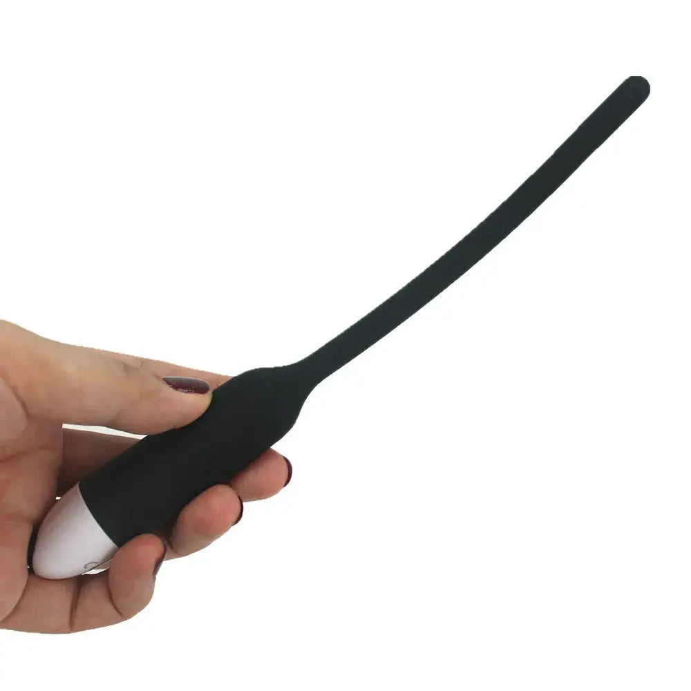 Purple double dildo with realistic penis design, bullet vibrator, suitable for lesbian couples, anal and vaginal adult sex toys.