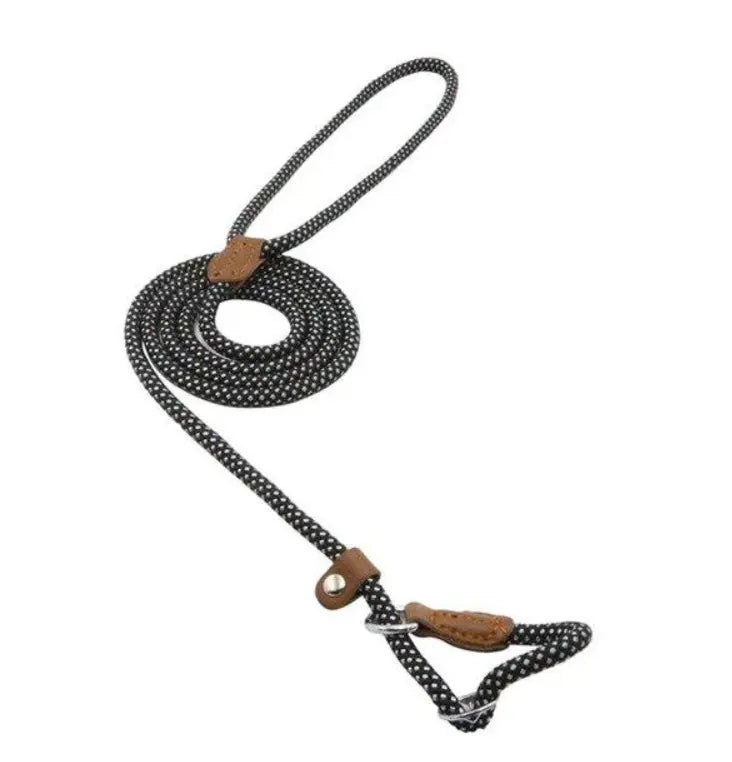 Red nylon pup set by SHOPEZRA L.L.C. featuring a comfortable collar and leash for pets.