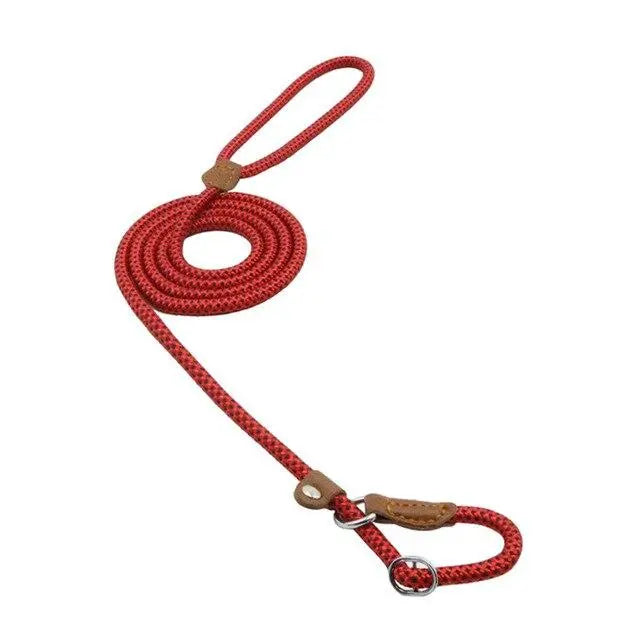 Red nylon pup set from SHOPEZRA L.L.C. featuring a collar and leash with adjustable straps and durable materials.