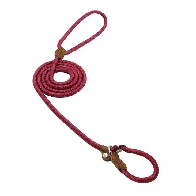 Red nylon pup set by SHOPEZRA L.L.C. featuring a collar and leash with adjustable straps and metal hardware.