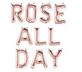 Rose gold 16-inch balloon banner with "Let's Flamingle" and "Rose All Day" phrases, perfect for celebrations.