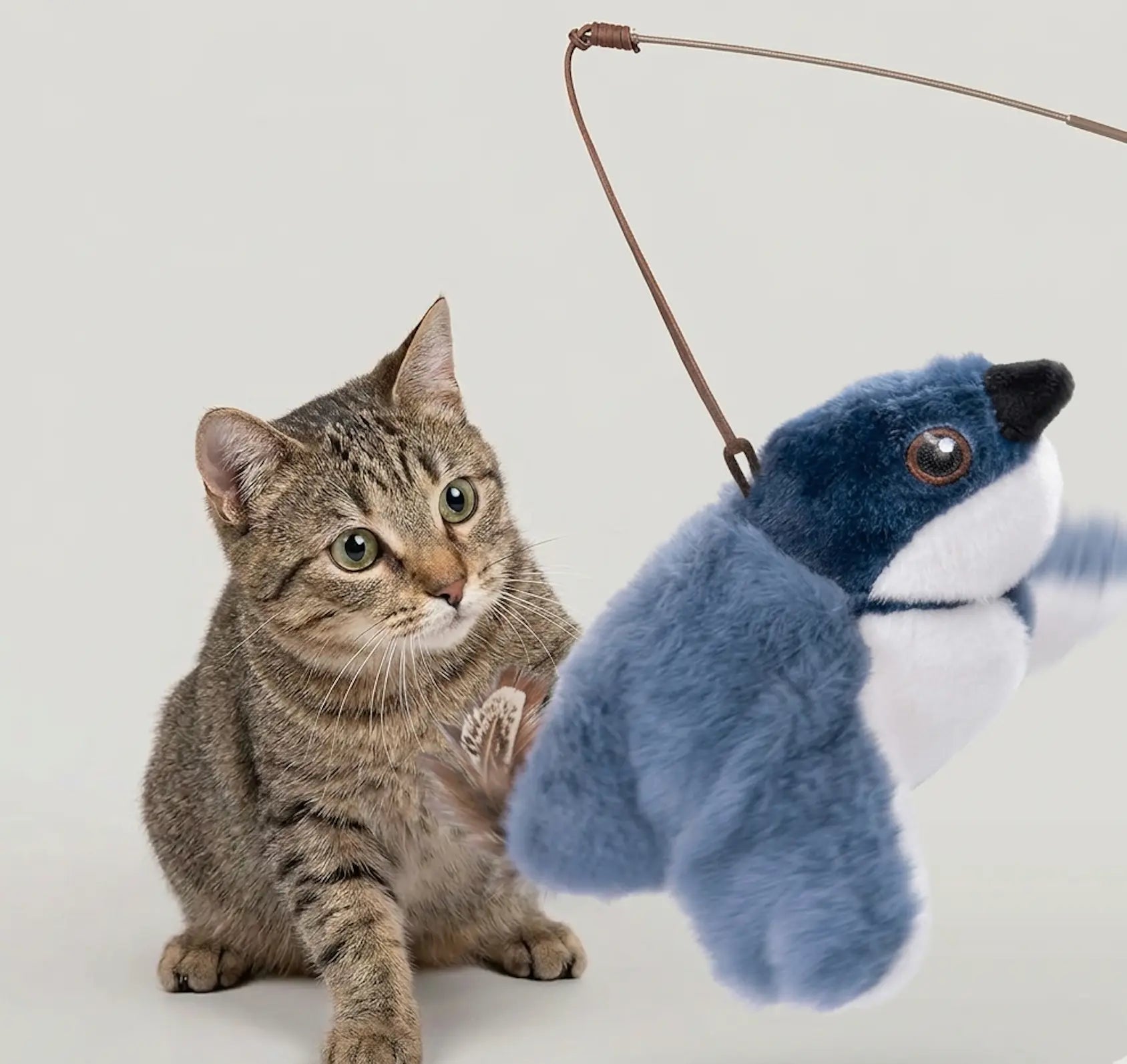 PVC flapping bird cat toy from SHOPEZRA L.L.C. with a shake sparrow design in packaging, designed to entertain cats.
