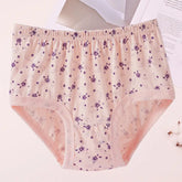 Middle-aged and Elderly Underwear Women&