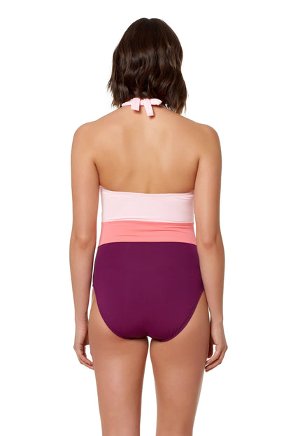 Bleu by Rod Beattie Colorblocked One Piece Swimsuit Women&