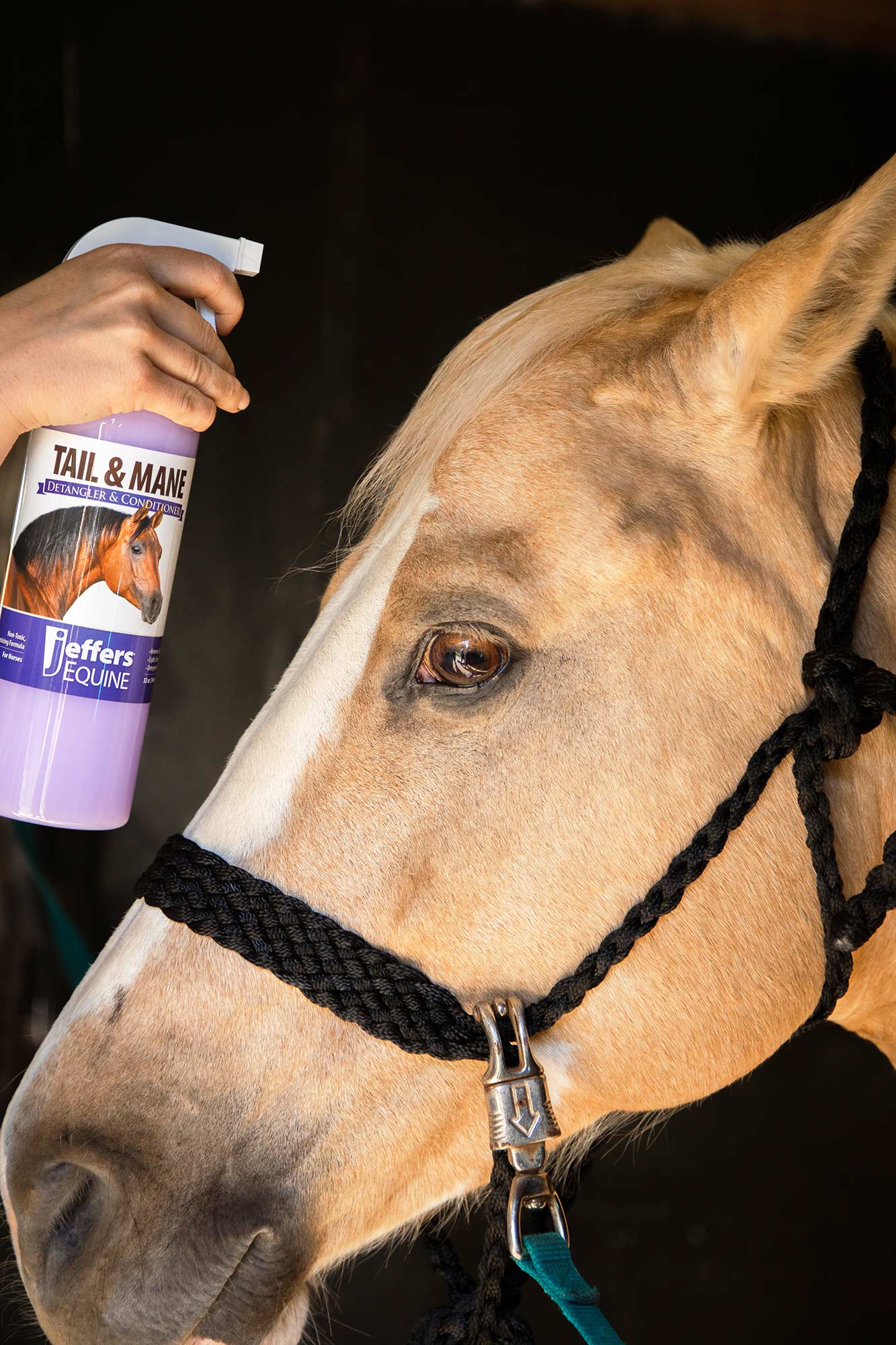 Jeffers Equine Tail &amp; Mane Detangler and Conditioner for Horses