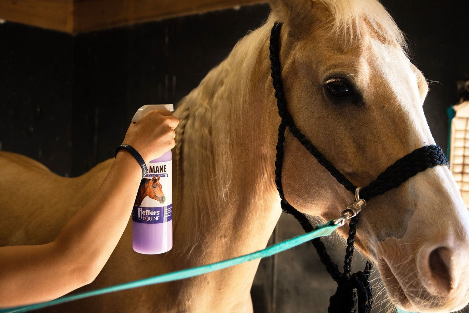 Jeffers Equine Tail &amp; Mane Detangler and Conditioner for Horses