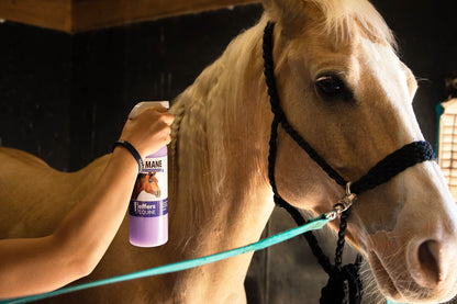 Jeffers Equine Tail &amp; Mane Detangler and Conditioner for Horses