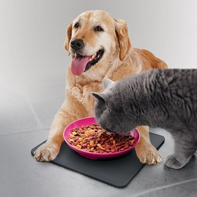 Trixie Non-Slip Pet Bowl and Silicone Mat Set 400 ml