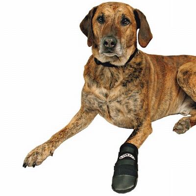 Trixie Neoprene Dog Boots Protective Paw Wear Large 2pk
