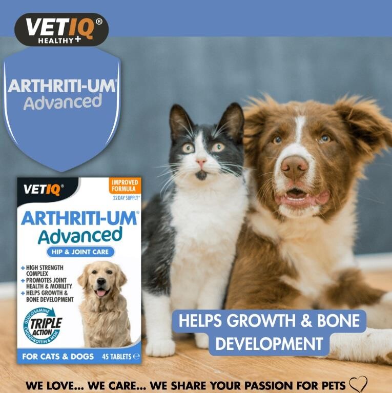 Vet IQ Arthriti-UM Advanced Joint Support for Cats &amp; Dogs 45 Tablets