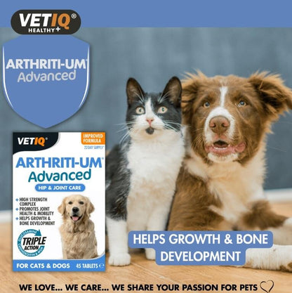 Vet IQ Arthriti-UM Advanced Joint Support for Cats &amp; Dogs 45 Tablets