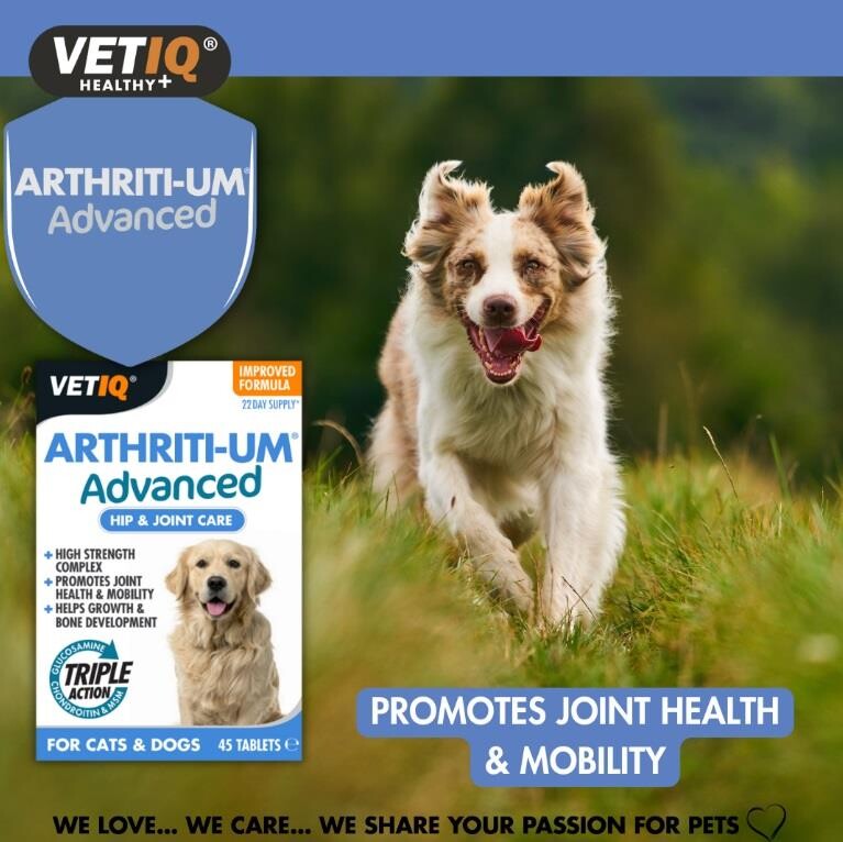 Vet IQ Arthriti-UM Advanced Joint Support for Cats &amp; Dogs 45 Tablets