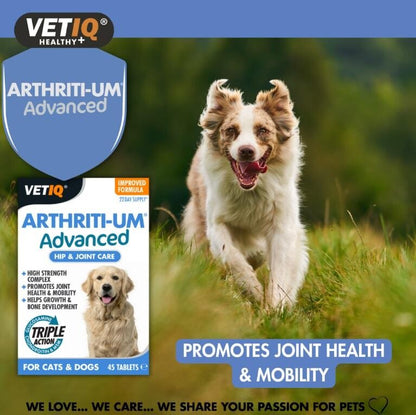 Vet IQ Arthriti-UM Advanced Joint Support for Cats &amp; Dogs 45 Tablets