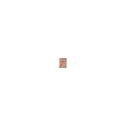 Estee Lauder Pure Color Eye Shadow Shimmer Hot Cinnamon 2.1g