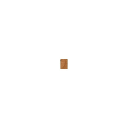 Estee Lauder Pure Color Eye Shadow Metallic Sizzling Copper 1.8g
