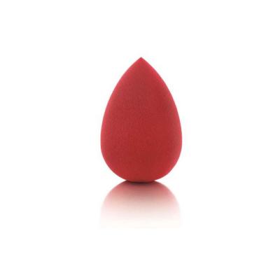 Pastel Profashion Makeup Sponge: Flawless Foundation &amp; Cream Application - Expandable Beauty Sponge for Liquid, Powder &amp; Creams