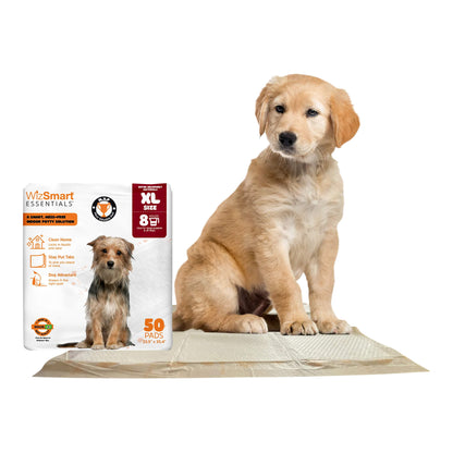 WizSmart Essentials Training Pads with Attractant for Dogs &amp; Puppies, XL